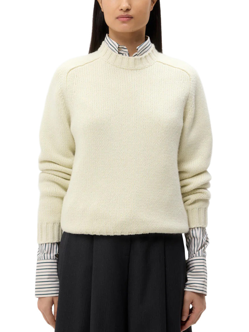 New Jill Crewneck in Aloe Wash
