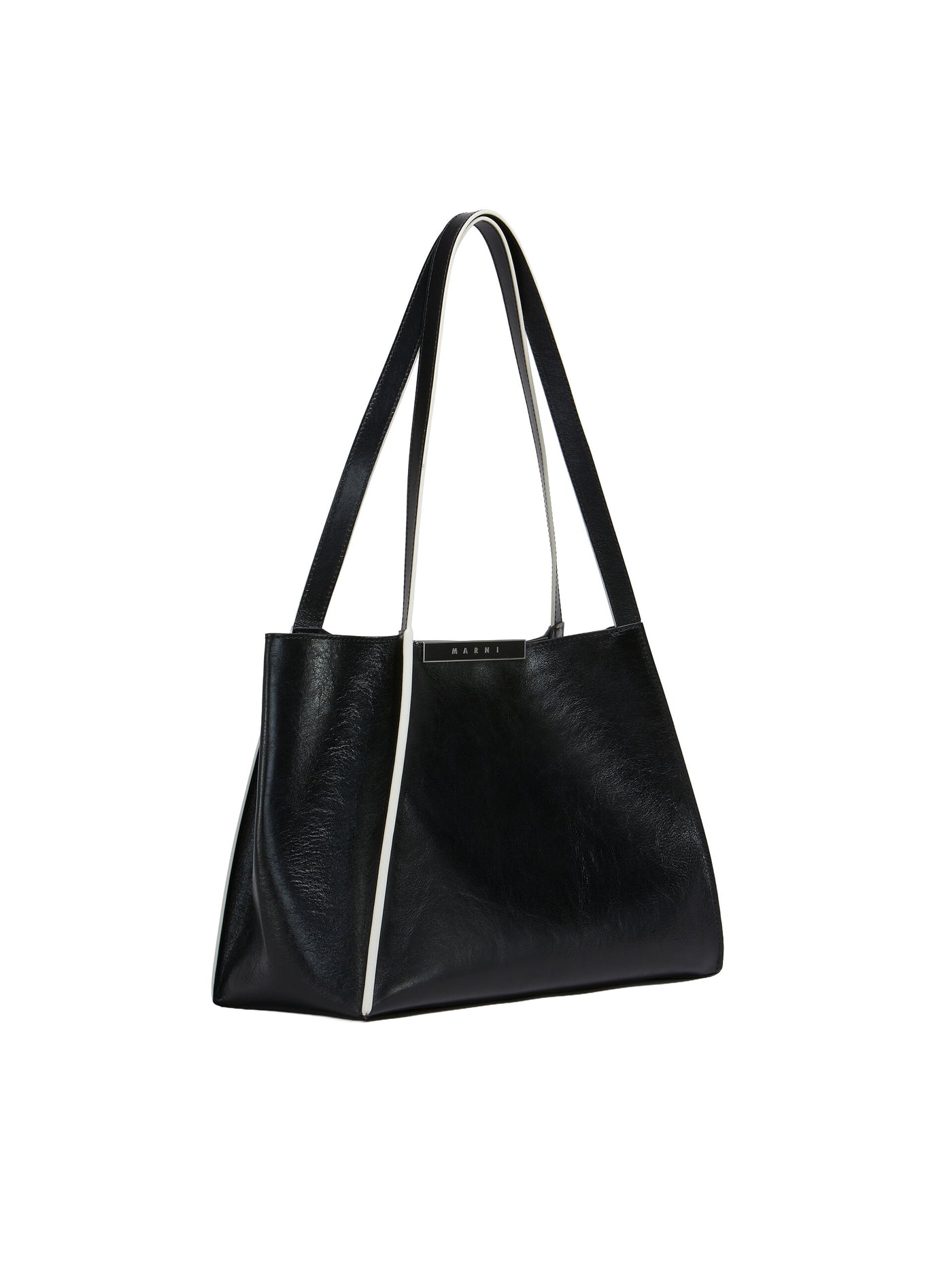 Leather Cresta E/W Small Tote Bag