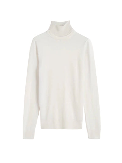 Two-Tone Turtleneck Knit